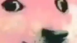 Glue