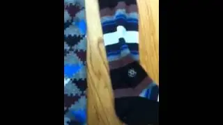 Stance Socks Collection