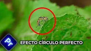 Efecto animación de CÍRCULO PERFECTO en Premiere Pro (Tutorial rápido)