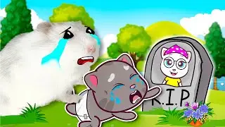 Angela! Come back to Tom baby - Hamster and Tom really miss Angela