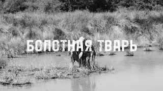 БОЛОТНАЯ ТВАРЬ 2 Сезон 1 Эпизод С̶т̶р̶а̶ш̶н̶ы̶е̶ Смешные Истории