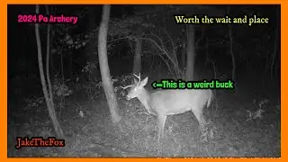 Pa Archery, It’s Worth The Right Place And Time!