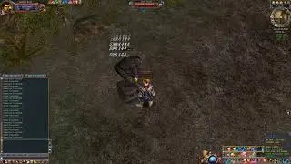 [300 Last Chaos] Ping test
