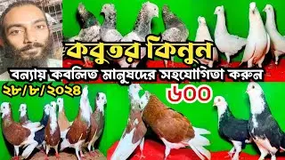 কবুতর কিনুন || বন্যায় কবলিত মানুষদের সহযোগিতা করুন || বিক্রির ২০% টাকা সহযোগিতা  করবেন।রিফাত ভাই