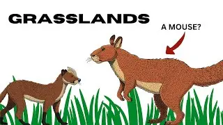 GRASSLANDS ON A PLANET OF WEASELS? - Project Mustelon Ep. 3 (Speculative Evolution Seed World)