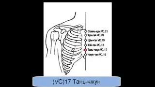 VC17 Тань-чжун
