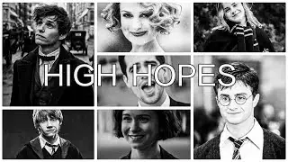 Harry Potter/ Fantastic beasts || High Hopes