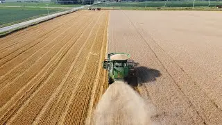 Final Day Of the Wheat Harvest!
