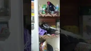 Попугай ждёт птенцов от перчатки .  2 серия
