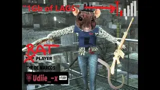 Typical Udiie_-x XDDDDD