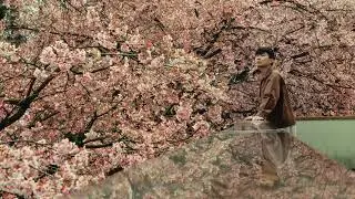 Movement in stillness [Japan Cinematic shot on Sony A7IV]