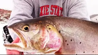 Ice Fishing Scofield Utah