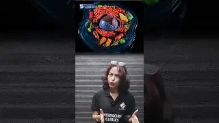 Biology Facts | The Powerhouse of the Cell: Mitochondria Explained #ahsec #assam #biologyshorts