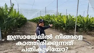 ഇസ്രായേലിൽ ജോലിക്ക് വരുന്നവർ അറിഞ്ഞിരിക്കാൻ /information on job vacancies in Israel malayalam#israel