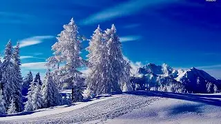 #246 Do calor ao frio estremo
