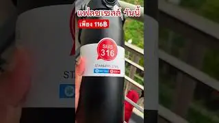 แก้วเก็บอุณหภูมิ แก้วเก็บความรู้สึก