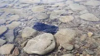 Huawei Mate 30 Pro under water test