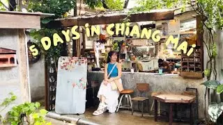 Healing my mental health in Chiangmai 🌿 5 Day Trip | Record store, cafes, arts & crafts, nature