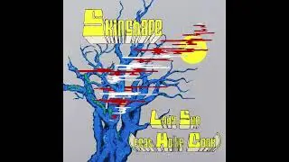 Skinshape feat. Hollie Cook - Lady Sun
