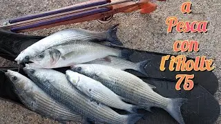 Bassofondo Trafficato! - Pesca in Apnea