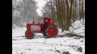 Трелевка леса зимой МТЗ-50
