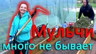 Бесконечный субботник. В теплице, что то проросло. Уехали на Рок концерт. Пора заняться тормозами.