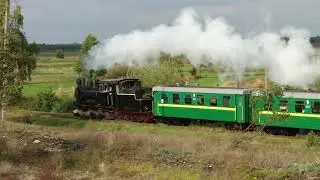 Narrow gauge steam locomotive / Паровоз Гр-280. Янтарный край
