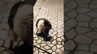 ТЫ КТО? 🤣 