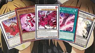 My Black Rose Dragon Yugioh Deck Profile for Post Lightning Overdrive