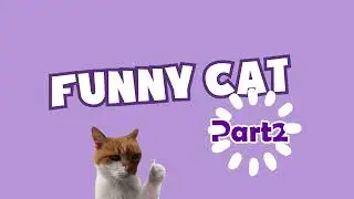 Funny Cat Gifs-Part2 | Green Screen | Free Download
