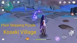 Koseki Village Floor Stepping Puzzle Seirai Island Genshin Impact