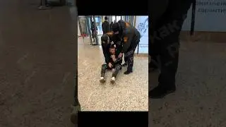 #рекомендации