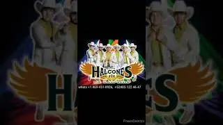 los halcones de san luis,  mis malas mañas