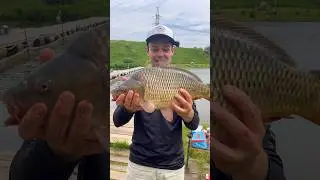 Идеальная оснастка на карпа 