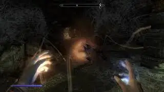 Skyrim - Arachnophobia Necromancy Nightmare