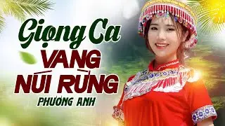 Giọng Ca Hát Vang Núi Rừng Khiến Người Nghe Đắm Say - LK Gặp Nhau Giữa Rừng Mơ