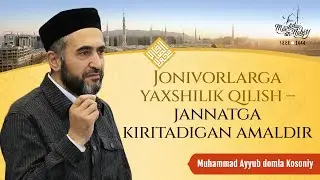 Jonivorlarga yaxshilik qilish – jannatga kiritadigan amaldir