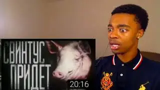 нигер напугался свинтуса