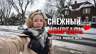 Первая неделя в Канаде | планы дальше | авто | жилье