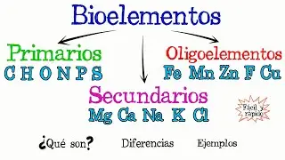💫Bioelementos Primarios, Secundarios y Oligoelementos💫 [Fácil y Rápido] | QUÍMICA | | BIOLOGÍA |