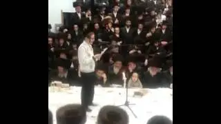 Gramin by boy at the Purim tish in spinka