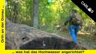 Durchs Hochwassergebiet bei der Schiffmühle Orth/a. d. Donau