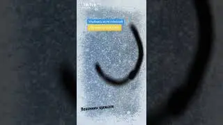 эх. Снимал я в тик-ток полгода назад, а сейчас.