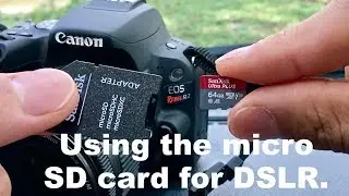Can I use a Micro SD card for my DSLR? (Canon SL2 Camera)