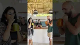 Detox at Orion Healing Centre, Koh Phangan (Thailand)