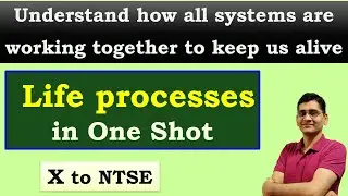 Life processes class 10 in One Shot │ Understand how all systems are working to keep us alive (NTSE)