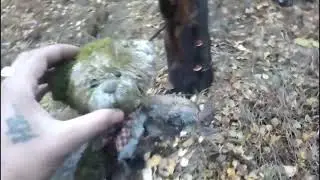 медведь тедди против мега петард из флеш пороха!!! крутые взрывы!!!