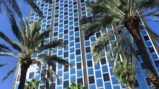 [Miami beach] - Lincoln road mall