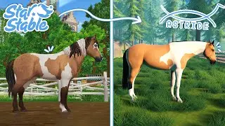 Star Stable Horses in Astride | BEST HORSE CREATOR?