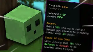 The Hypixel Skyblock Slime Pet